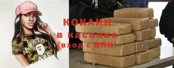стаф Чекалин