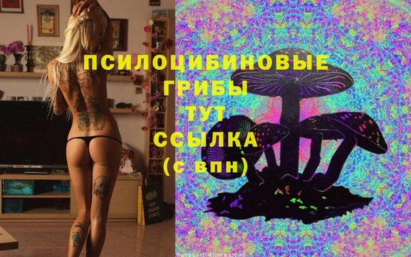 mdma Дмитров